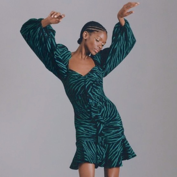Zara Animal Printed Mini Dress Puff Sleeve Size Medium M NWT Bloggers Favorite - Picture 1 of 14